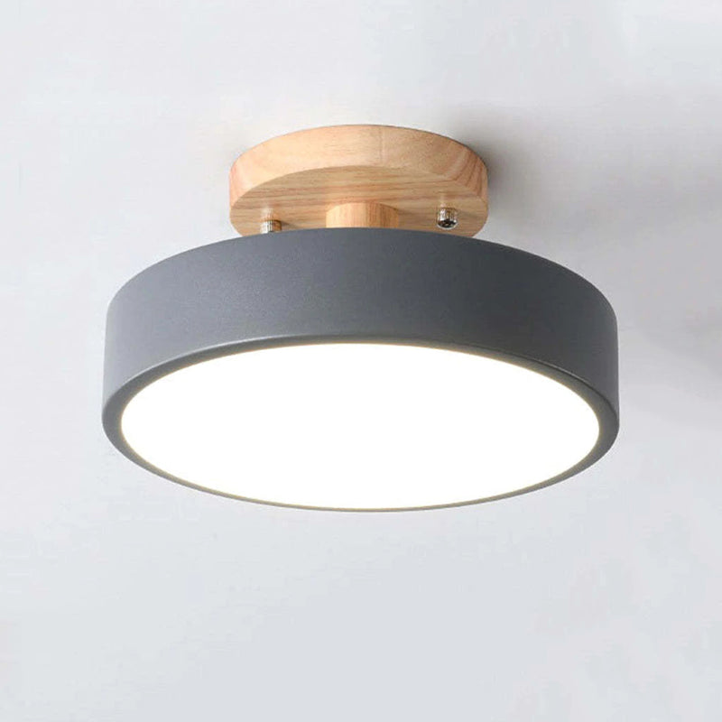 Alaric Modern LED Ceiling Lamp | Bowlift