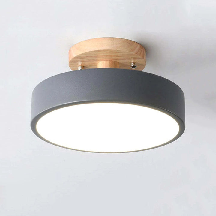 Alaric Modern LED Ceiling Lamp | Bowlift