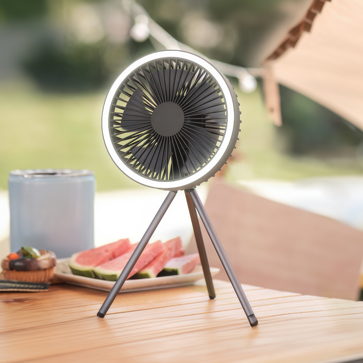 Portable Rechargeable Fan with LED and Built in Power Bank | Bowlift
