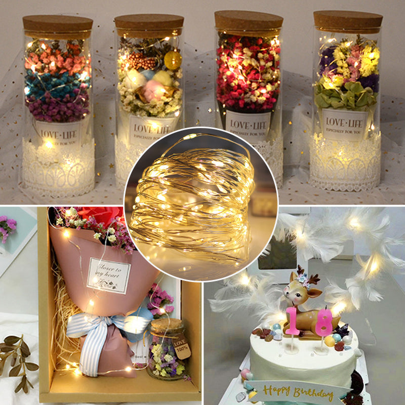 USB Remote Control Copper Wire Light String for Holiday Decoration | Bowlift