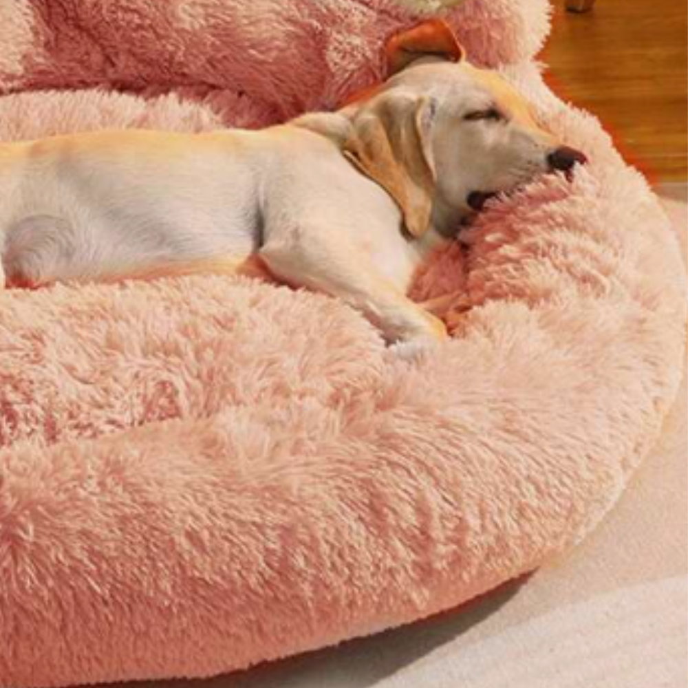 PlushHaven • Plush Paw-Shaped Dog Bed