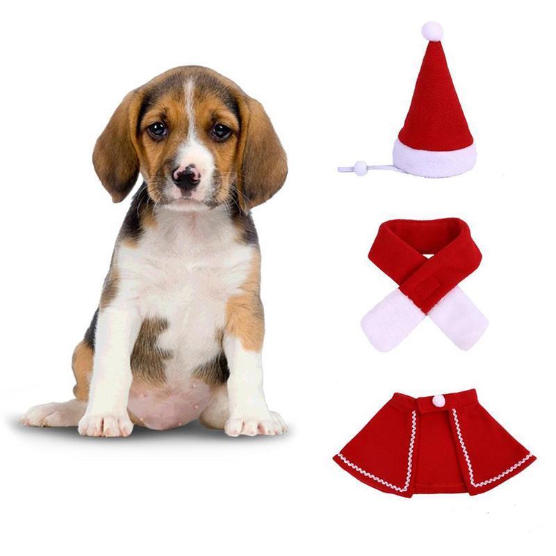 BowLift | FestivaPaws – Warm festive pet outfits that attract attention