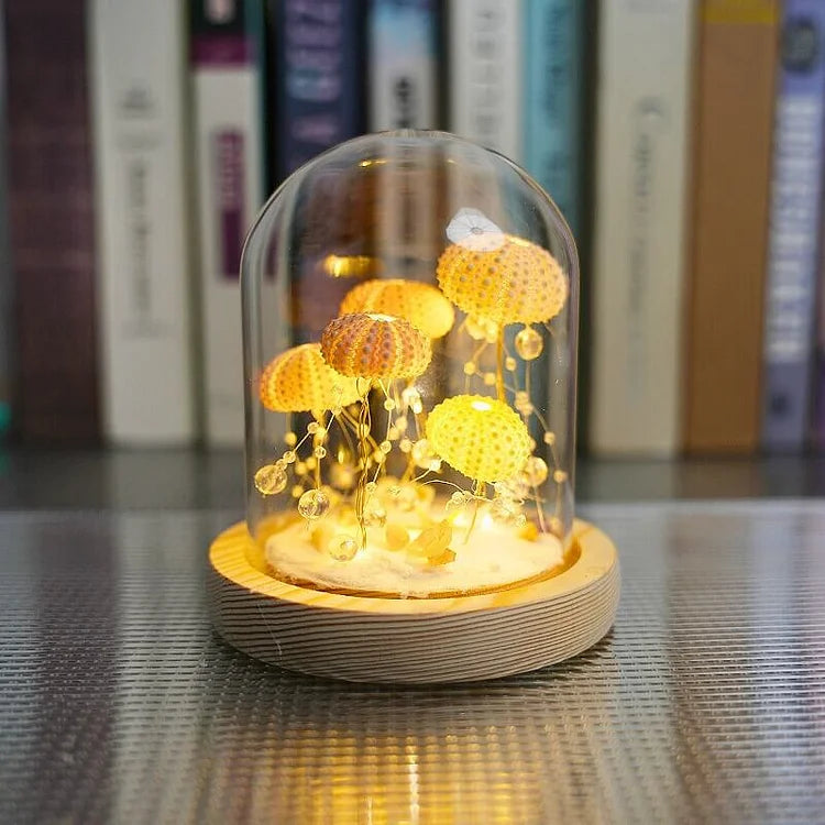 BowLift | LumiCraft – Unique DIY table lamp with natural sea shell for a cozy décor