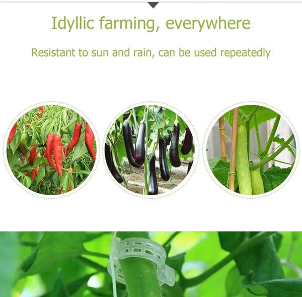 GripKing Clips — Keep your plants strong and discover effortless, healthy growth! | Bowlift