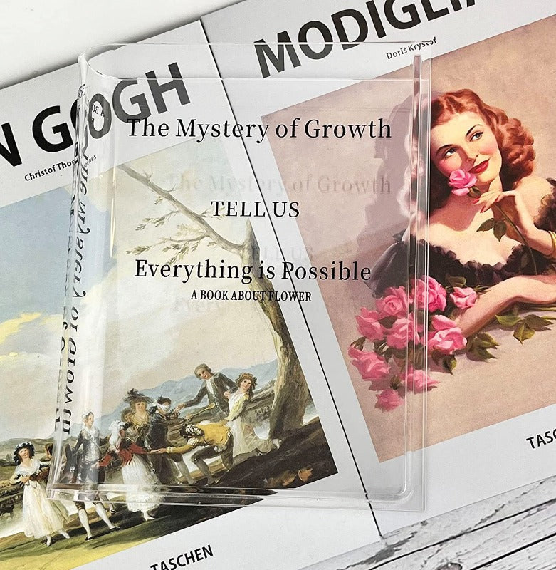 BowLift | Acrylic Book Vase – Modern Decorative Flower Holder