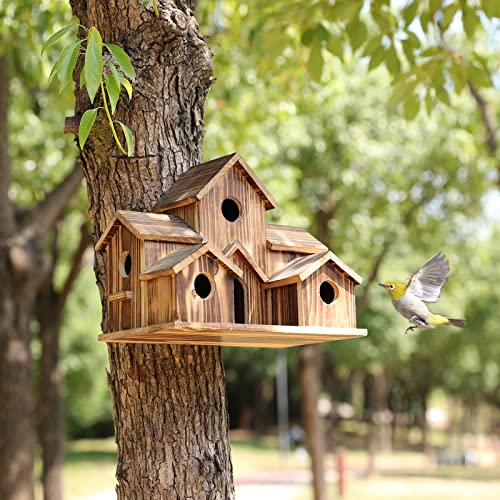 BowLift | 6 Hole Handmade Birdhouse - NestHaven