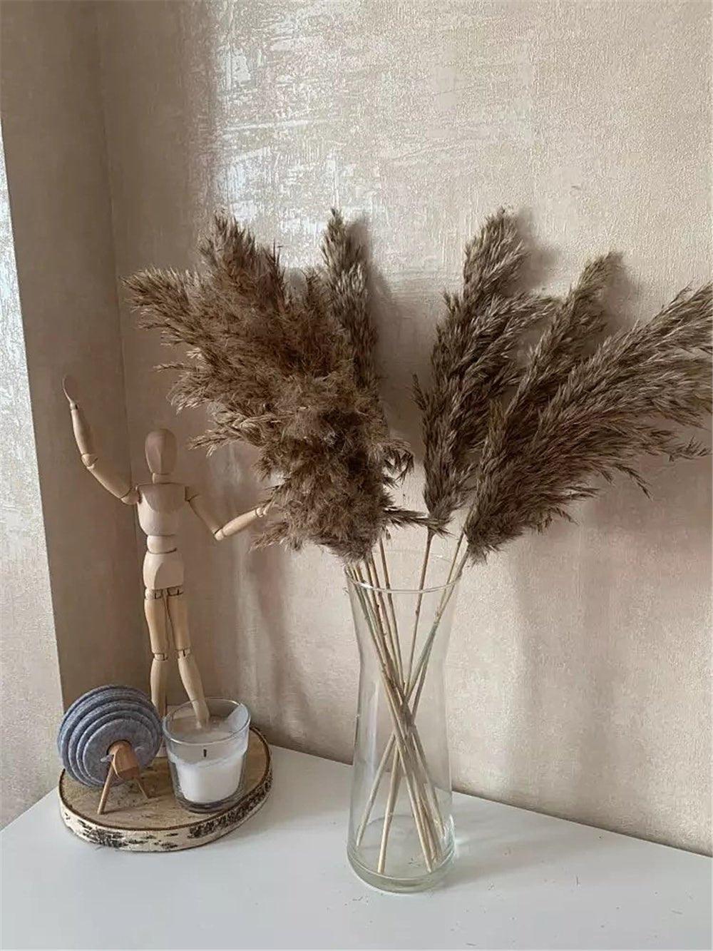 BowLift | 60 cm natural, real, brown-beige dried pampas grass bouquet │ fluffy feather for modern boho home decoration