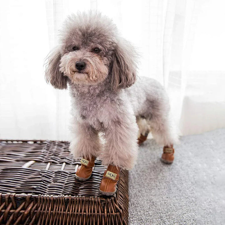 Warm Snow Boots for Dogs – FrostPaw Bowlift