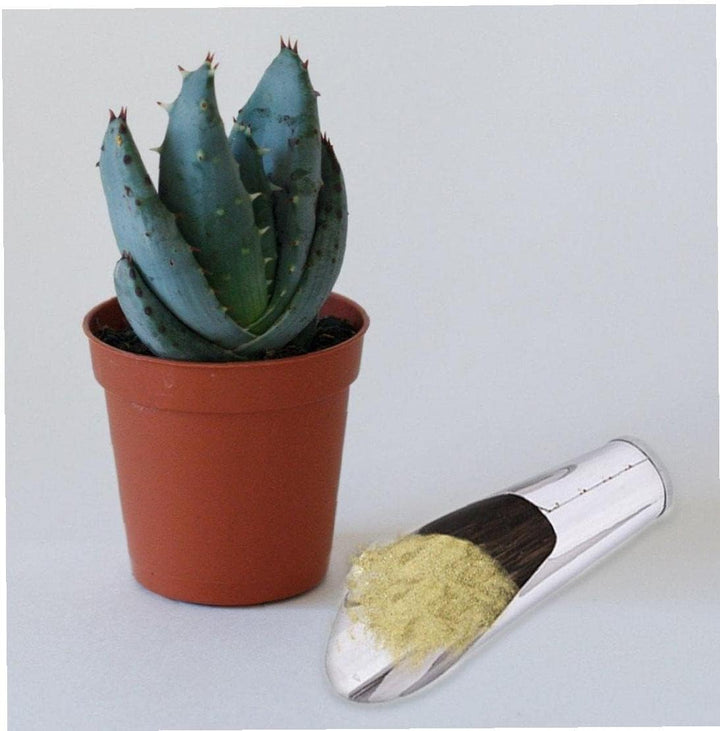 BowLift | Stainless Steel Scoop for Potting Soil – Robust Planting Scoop for Garden and Balcony