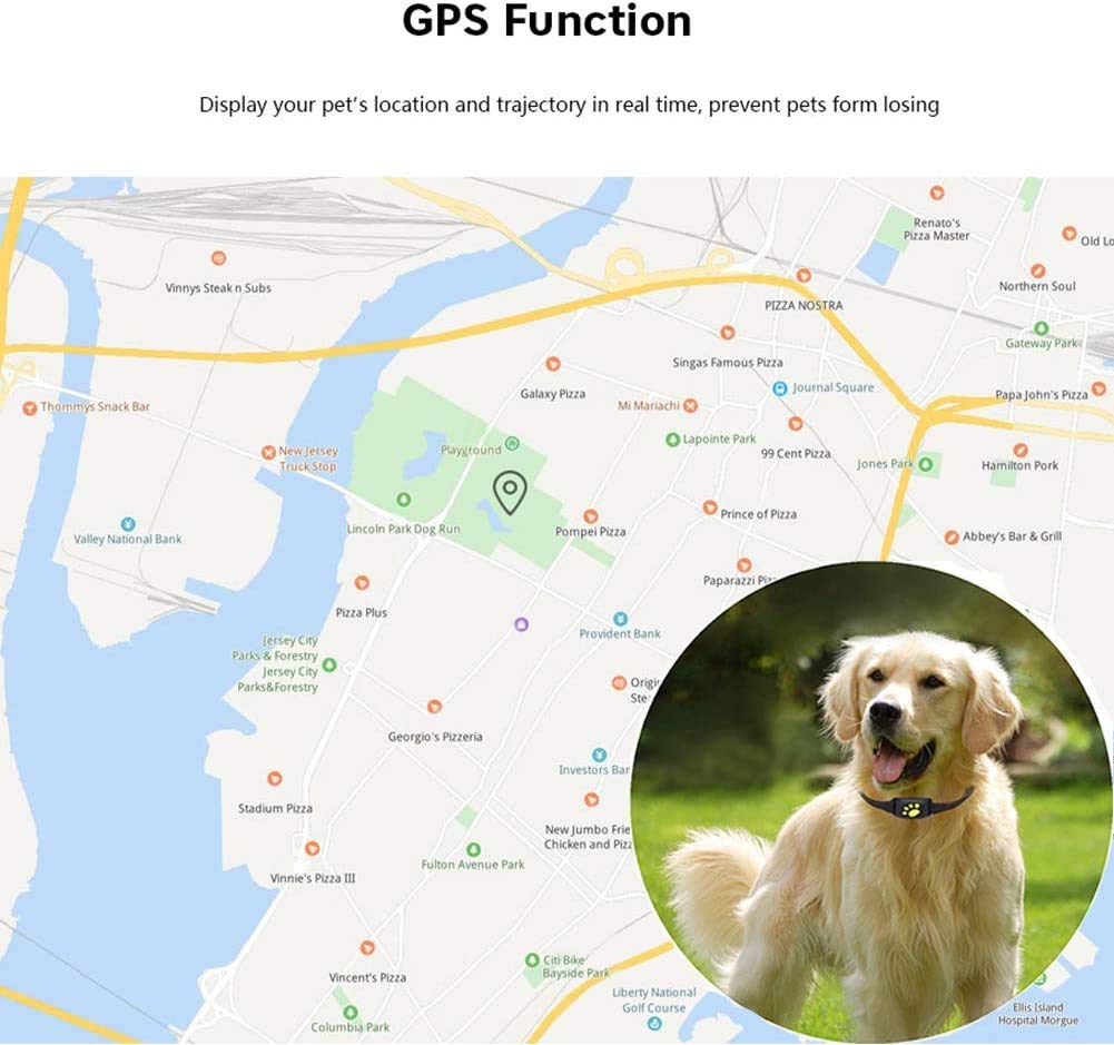 BowLift | Smart GPS Pet Collar with Real-Time Tracking, Geo-Fence Alerts & Sleep Mode for Cats and Dogs
