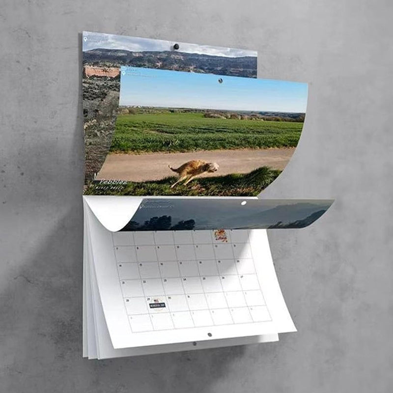 Funniest Calendar-Dogs Pooping in Beautiful Places | "Artistic Expression" of Furry Friends | Bowlift