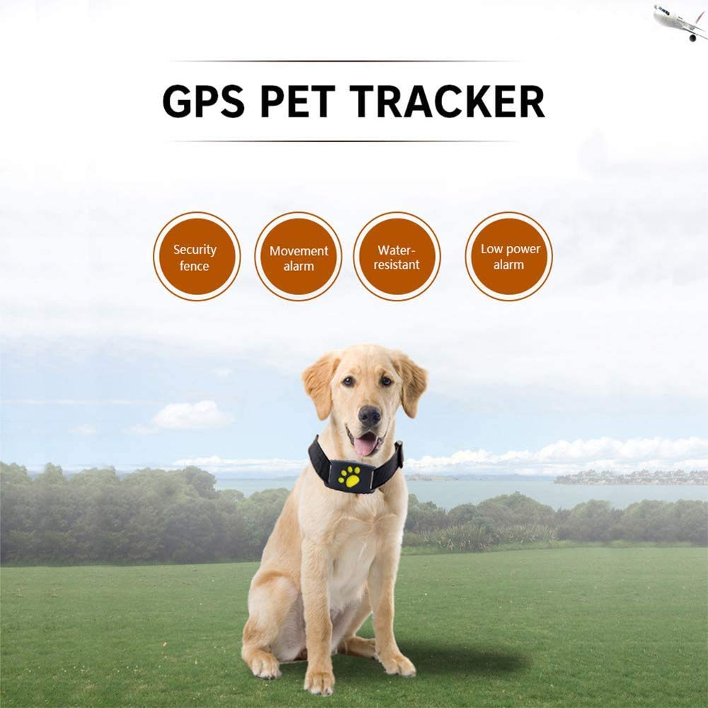 BowLift | Smart GPS Pet Collar with Real-Time Tracking, Geo-Fence Alerts & Sleep Mode for Cats and Dogs