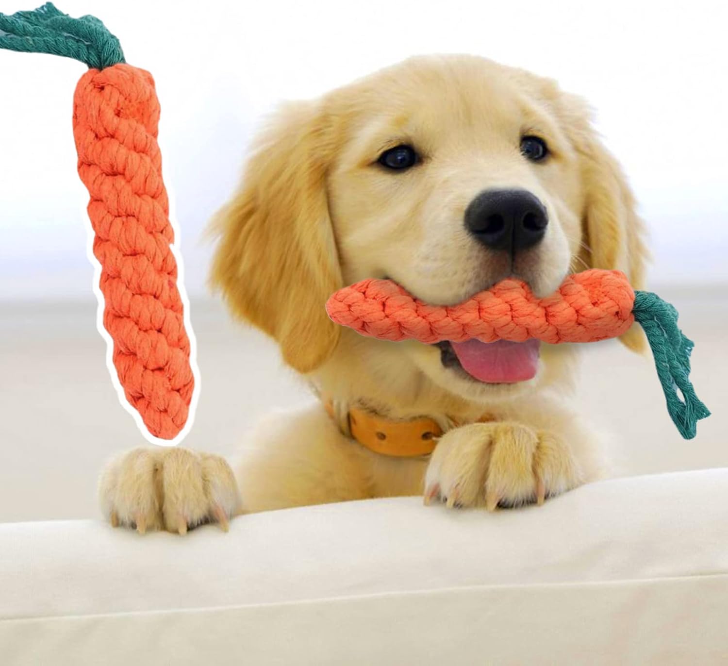 CarrotChew • Dog Chew Toy