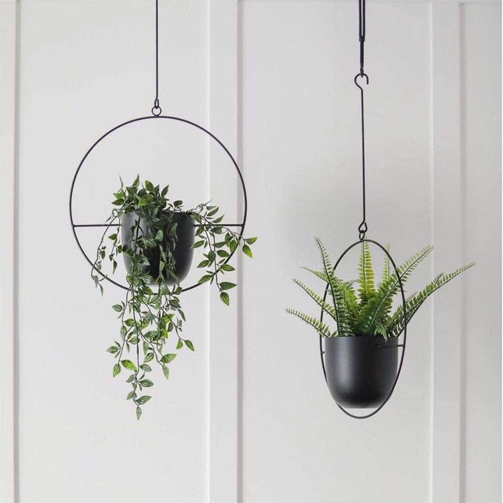 HaloRing Hanging Plant Holder – Metal Hanging Planter for Indoor and Outdoor | Bowlift