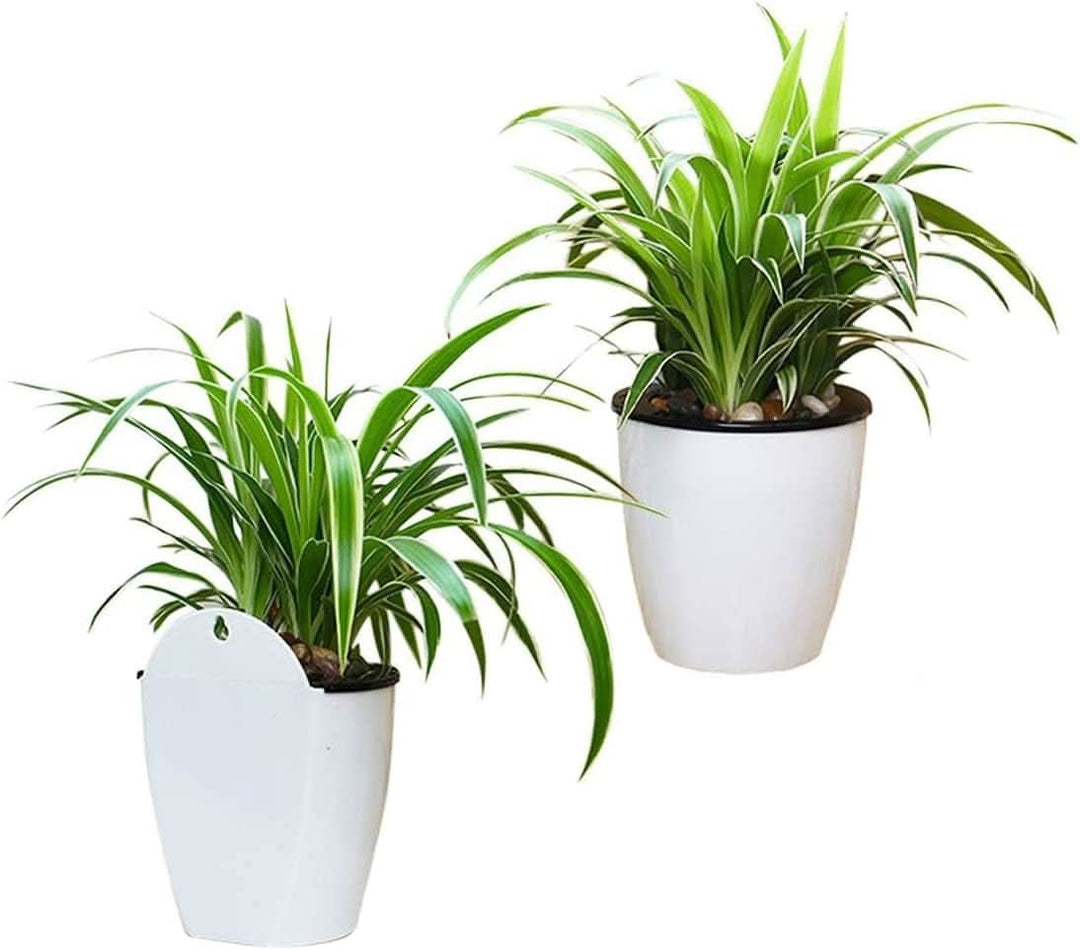 BowLift | watering flower pot