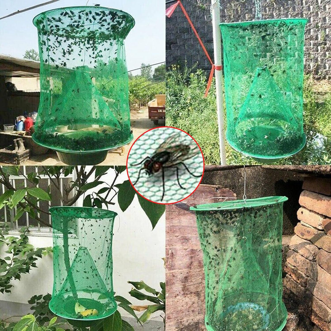 BuzzBlitz — Finally enjoy peace and get rid of flies forever! | Bowlift