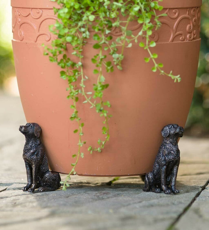 BowLift | Potty Feet Plant Pot Feet