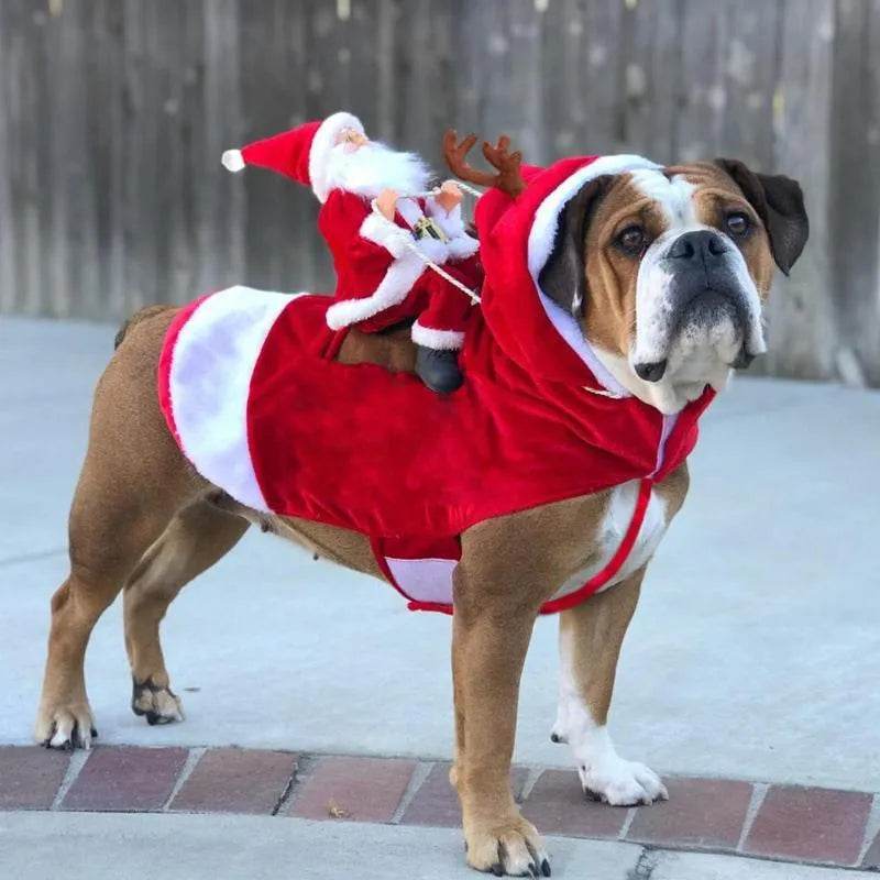 BowLift | Santa riding outfit