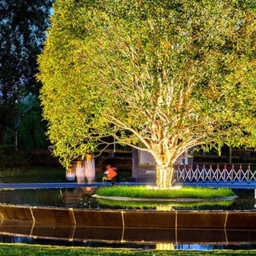 BowLift | Outdoor Lighting Ring for Tree Illumination