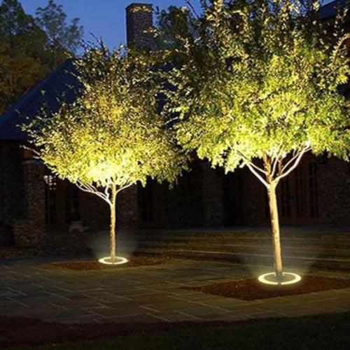 BowLift | Outdoor Lighting Ring for Tree Illumination