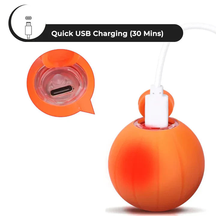 BowLift | Pet Ball (Special Edition)