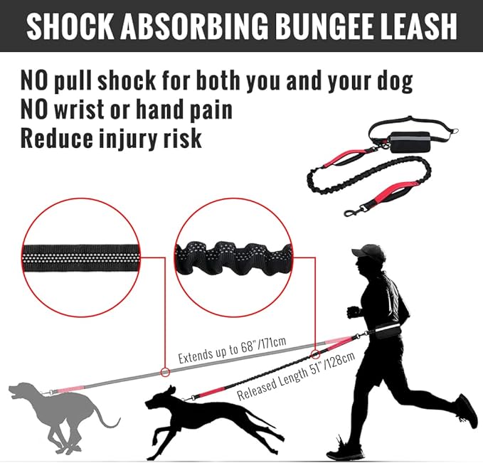 FlowLeash — Experience gentle control and relaxed walks without jerks! | Bowlift