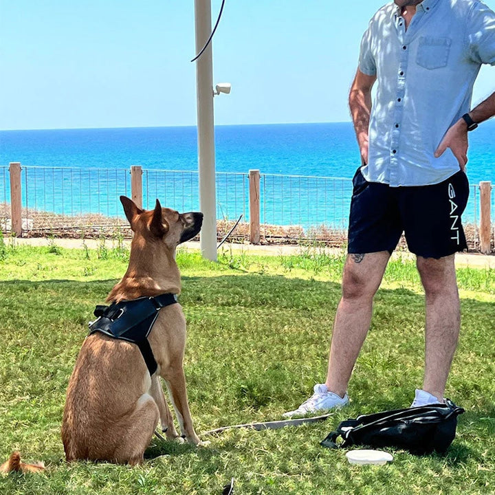 BowLift | Anti Choke Dog Harness