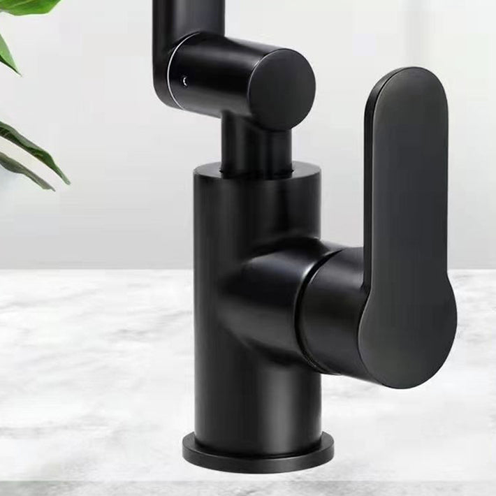 BowLift | Modern sink faucet stainless steel lever handles swivel spout sink faucet