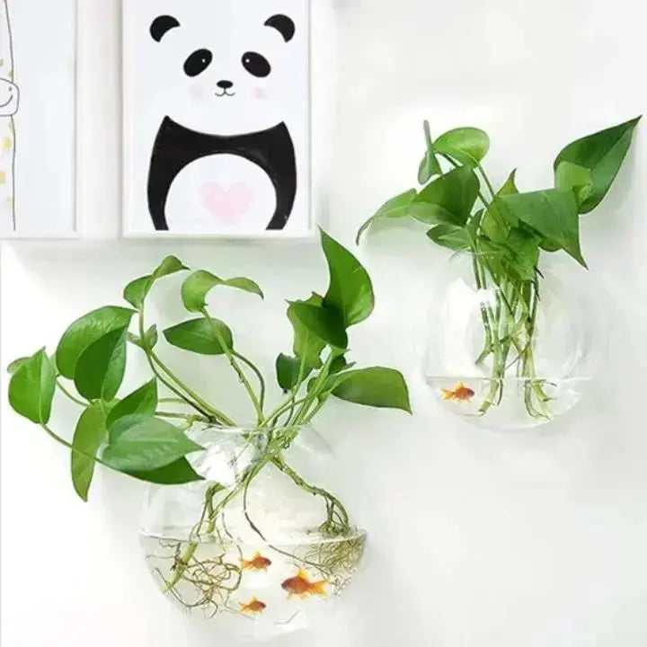 BowLift | WonderGlass — Give your walls a fresh kick for a vibrant home without effort