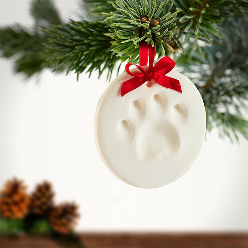 BowLift | Clay Pet Paw Impression Moulding Kit