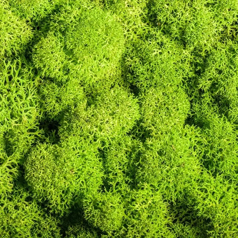 BowLift | Artificial Moss for Landscaping – Moss and Flowers for Decoration and Floristry