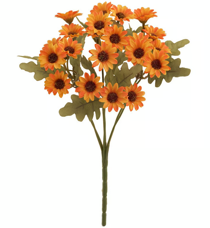 BowLift | AutumnBlaze — Your worry-free garden hit with colors that enchant every autumn!