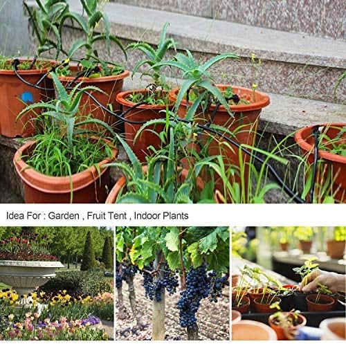 BowLift | Fog-cooled Automatic Irrigation System