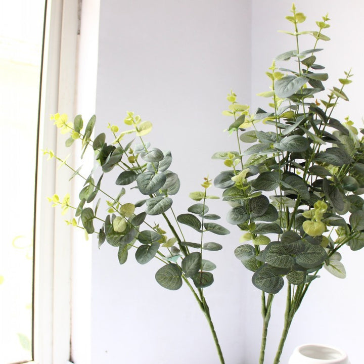 Decorative Eucalyptus Stem