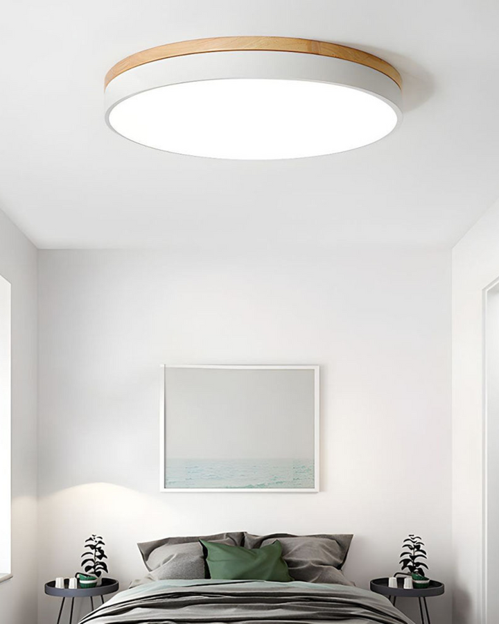 BowLift | Modern Ceiling Lamp with Nature-Inspired Shape