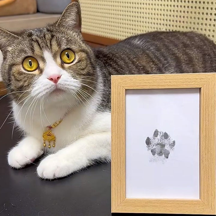 BowLift | DIY Pet Paw Print Memory Frame