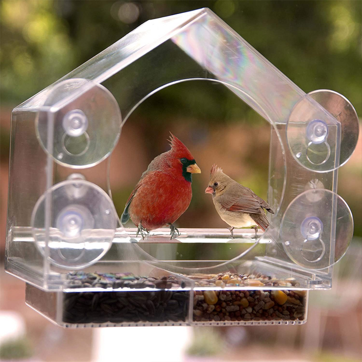 BowLift | Window Bird Feeder House