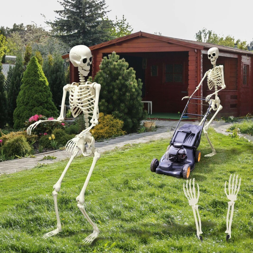 Full Body Skeleton Halloween Decoration – Scares Guaranteed, Fun for All Bowlift