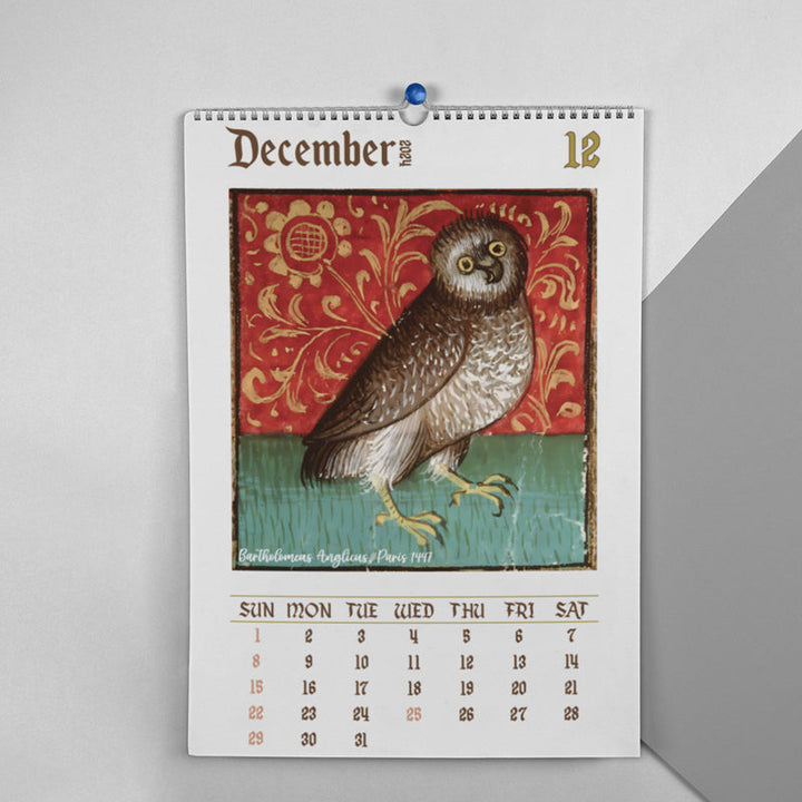 BowLift | Strange medieval owl calendar 2024