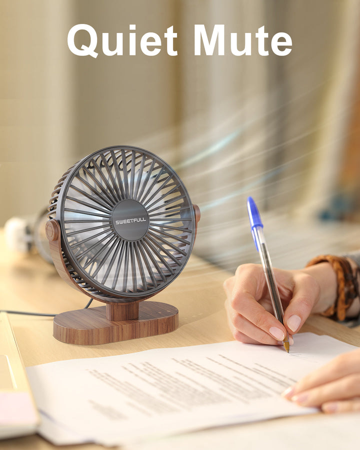 6.5 Inch USB Small Desk Fan for Home Office Car Outdoor Travel | Bowlift