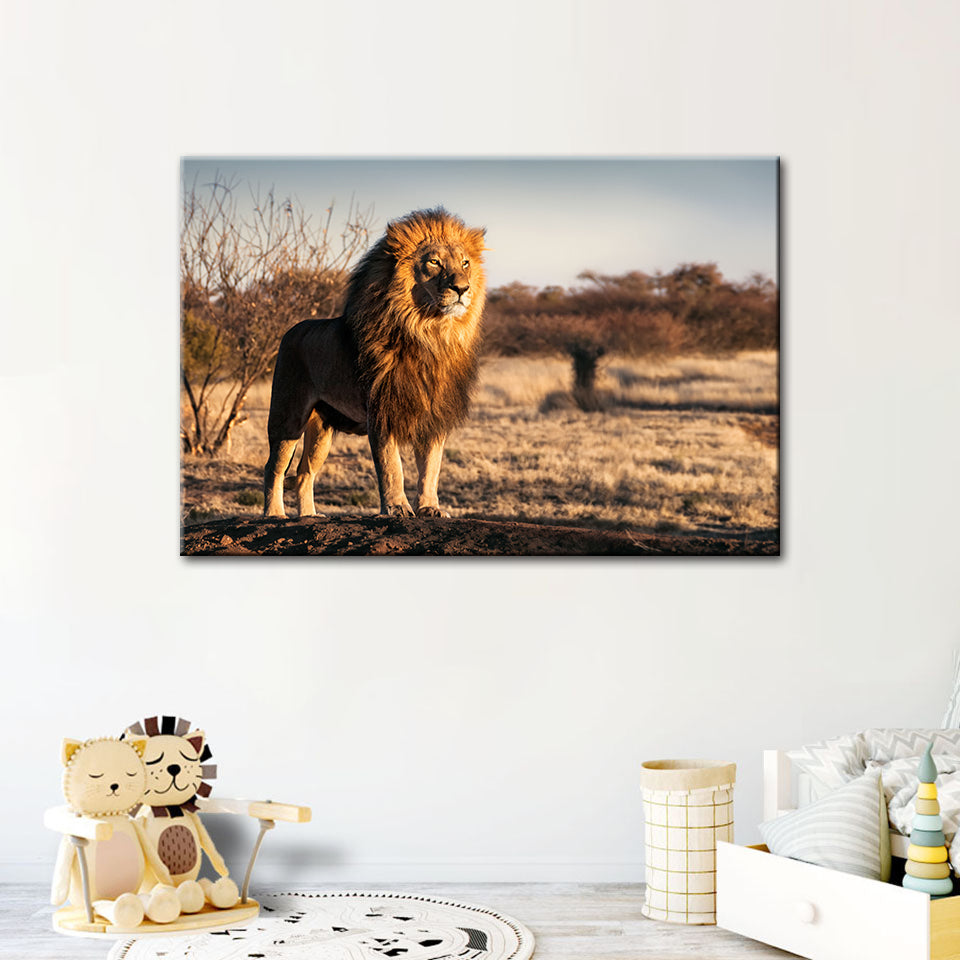 Majestic Lion Bathed In Sunlight - Canvas Wall Art Painting | Bowlift