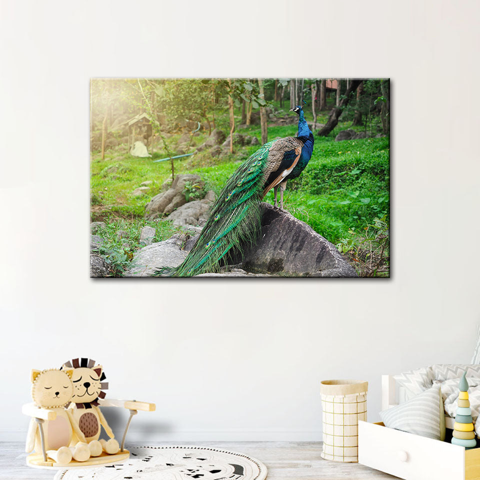 Dignified Sunlit Peacock - Canvas Wall Art Painting | Bowlift