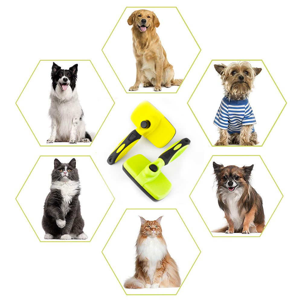 Ciaovie Brush for Pet Cleaning | Bowlift