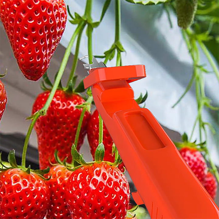 Efficient Pepper Picking Tools | Bowlift
