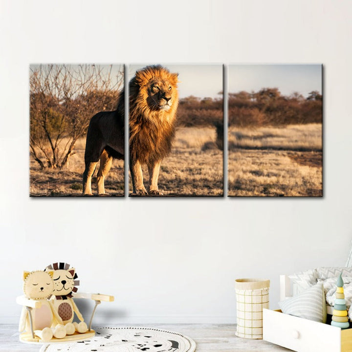 Majestic Lion Bathed In Sunlight-Canvas Wall Art Painting 3 Pieces | Bowlift