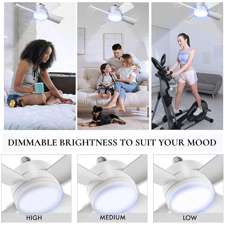 Ceiling Fans with Lights | Bowlift