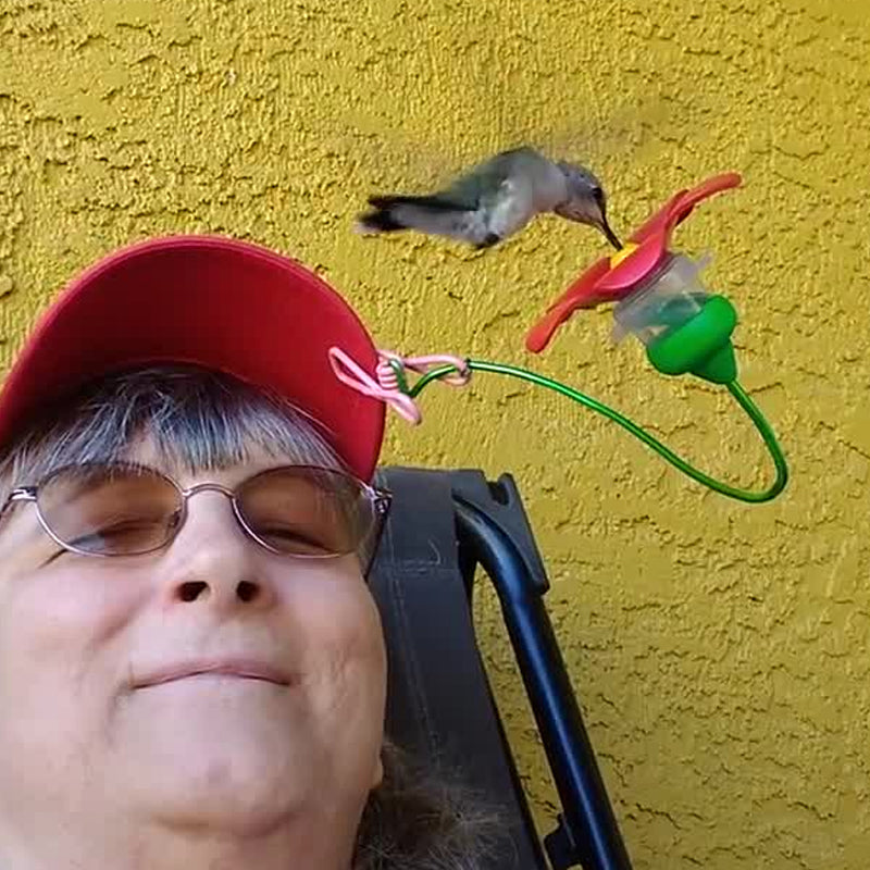 BowLift | Hat Clip Hummingbird Feeder
