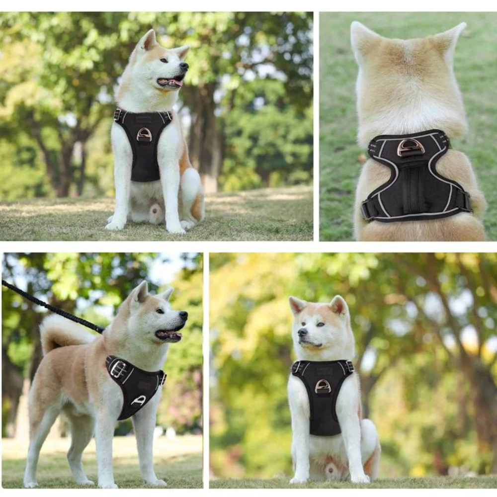 PowerHarness •  No Pull Dog Harness