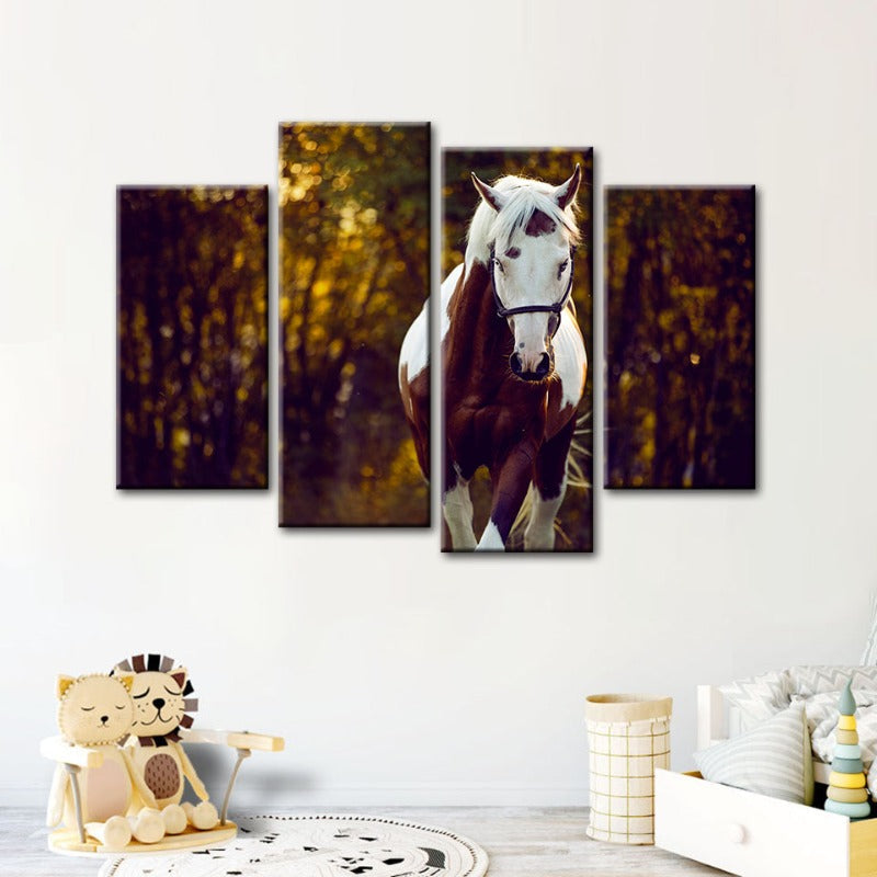 4 Piece Courtly Overo Horse - Canvas Wall Art Painting | Bowlift