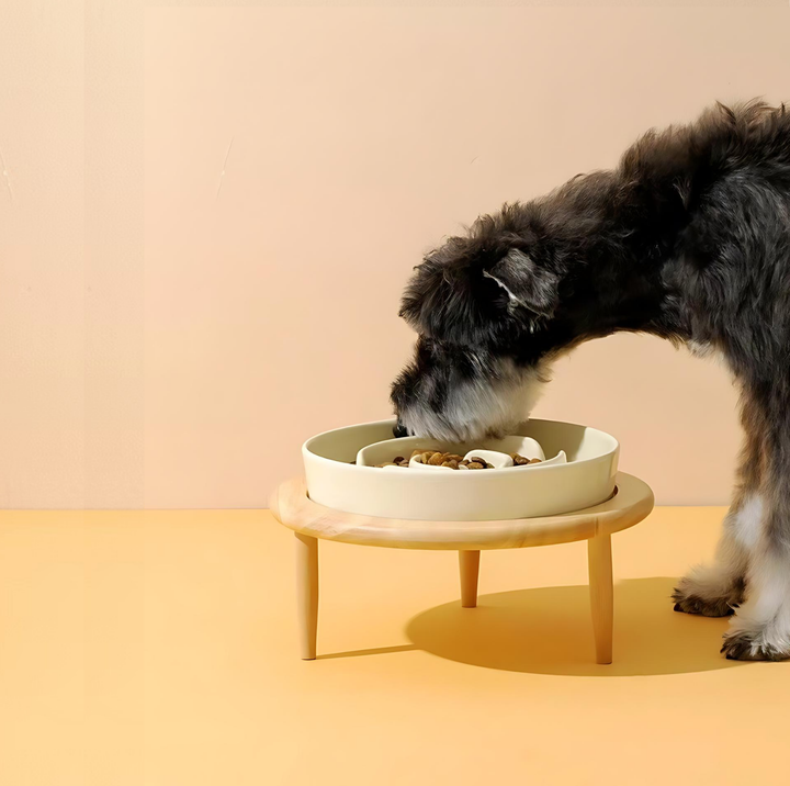 BowLift | SlowCeramic - Elegant Craft Feeding Bowl for Pets